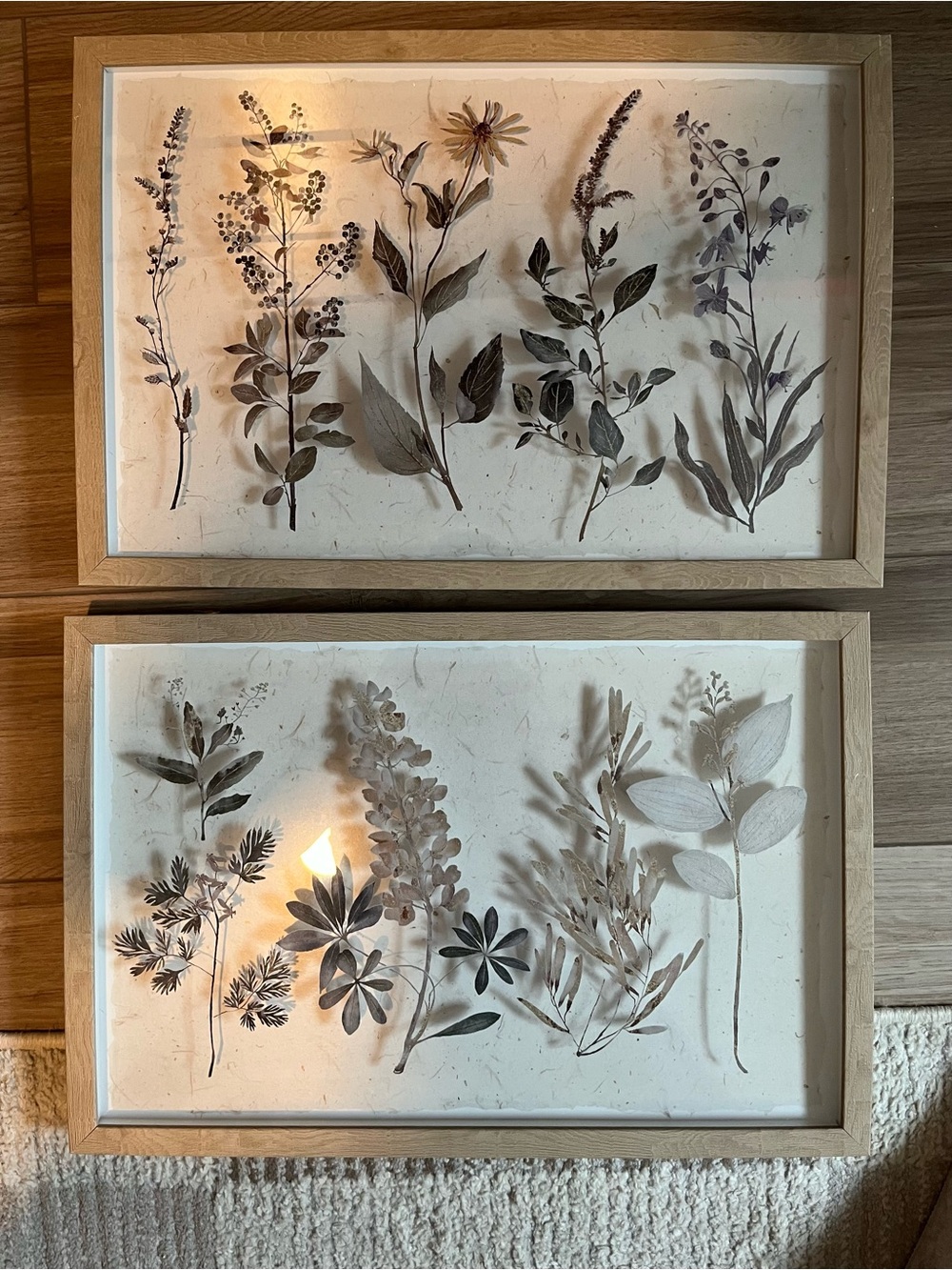 Framed Neutral Botanical Wall Art Set of 2 - Wood frames